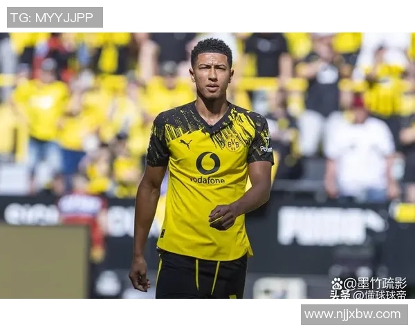 英超精彩对决：里昂与多特蒙德激战成平局十大进球回顾